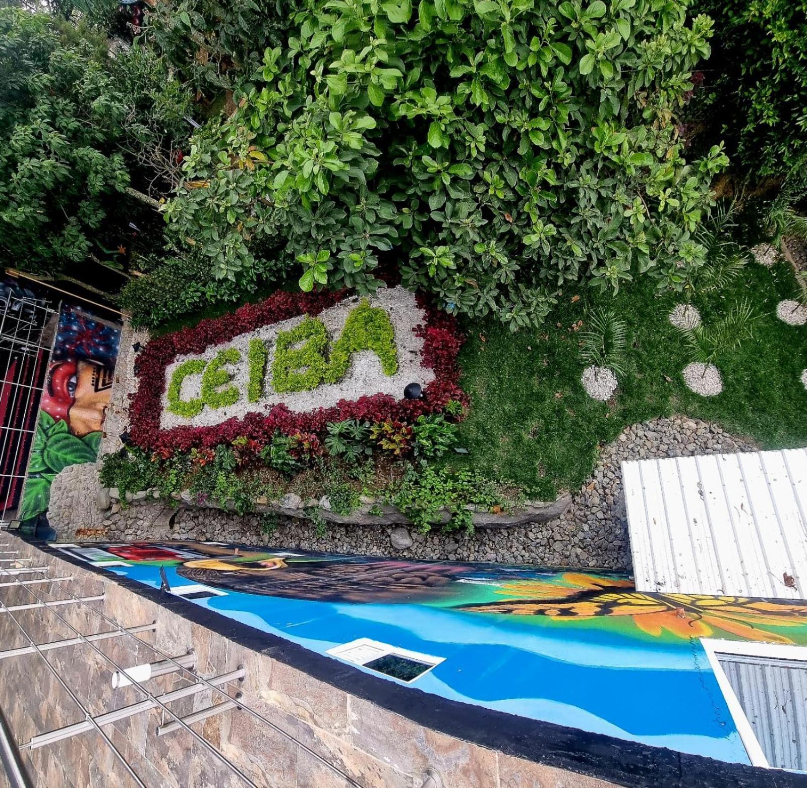 Ayenda Ceiba Rooms Pereira Luaran gambar